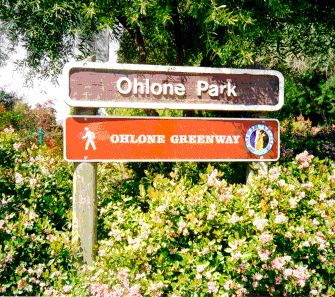 Ohlone Park sign (50615 bytes)