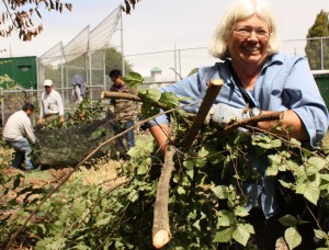 Friends of Five Creeks president Susan Schwartz with more volunteers