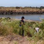 Volunteers at mouth of Schoolhouse Creek