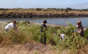 Volunteers at mouth of Schoolhouse Creek