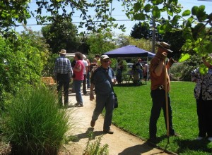 Schoolhouse Creek Common during native-garden tour