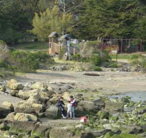 Beach at Shorebird Park